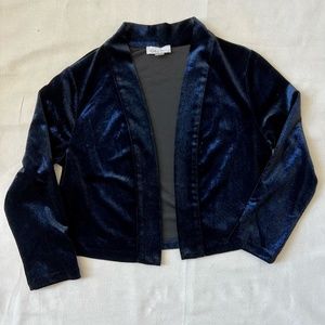 Make a Statement with this Blue Metallic Velvet Blazer from Calvin Klein Size S